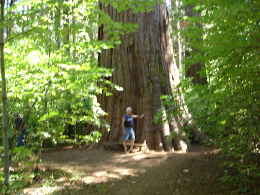 Donald Henry Photo 38 Donald Henry Photo 38