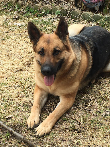 Cynthia Heath Photo 7