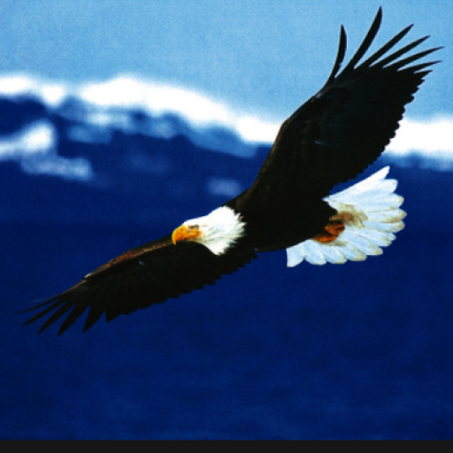 Jane Hester Photo 13