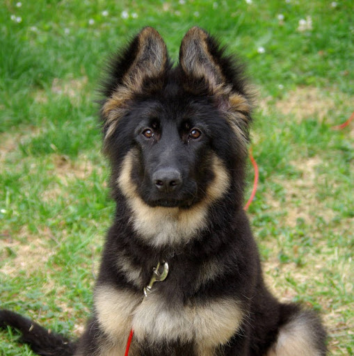 Julia Mendez Photo 11