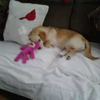 Dorothy Doss Photo 4