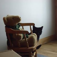 Debbie Callahan Photo 25 Debbie Callahan Photo 25