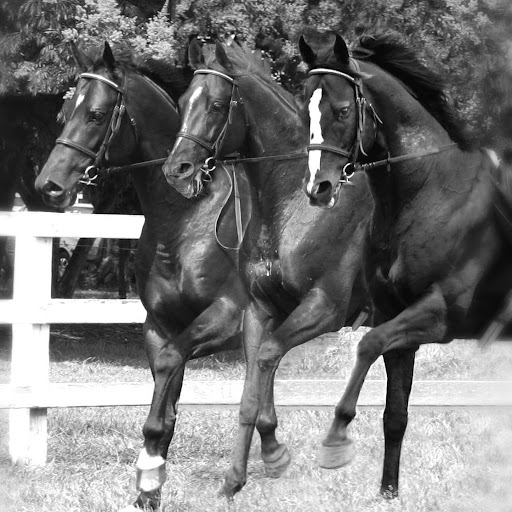 Janet Plumb Photo 15