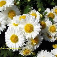 Maria Quinonez Photo 24