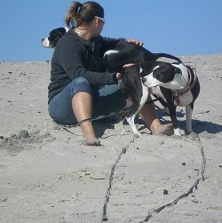 Kathryn Hutchison Photo 8