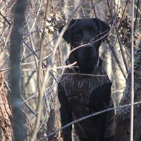 Randy Johnston Photo 50