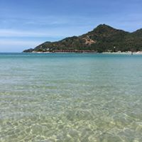 Kathleen Mccarty Photo 14