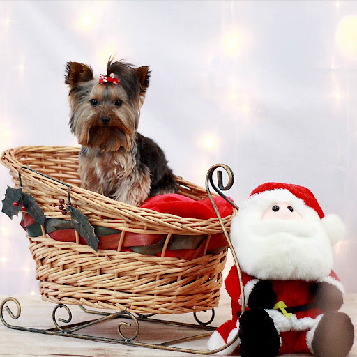 Cindy Hughes Photo 6