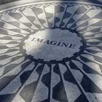 Suzanne Callaghan Photo 2