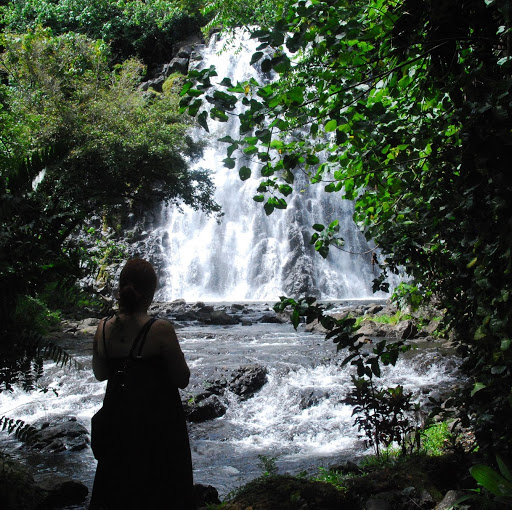 Maureen Curtin Photo 30