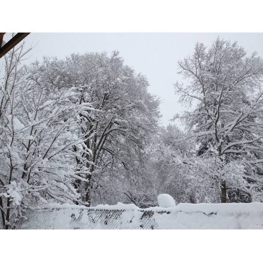 Cheryl Towne Photo 10