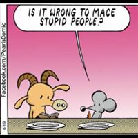 Stephen Parrish Photo 6 Stephen Parrish Photo 6