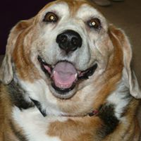 Rebecca Foreman Photo 12 Rebecca Foreman Photo 12