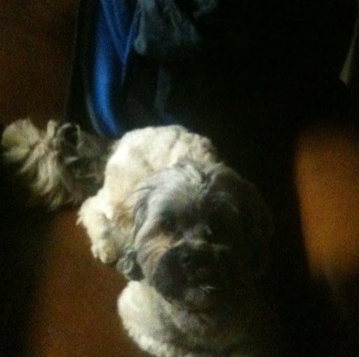 Phillip Ferguson Photo 41