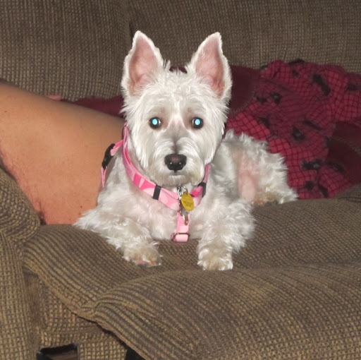 Sandy Robbins Photo 5