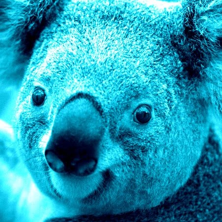 Thomas Chester Photo 19