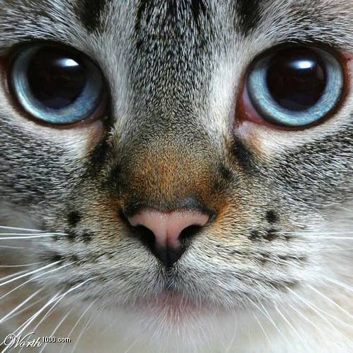 Carol Webber Photo 2