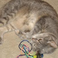 Jeremy Fleming Photo 35