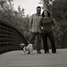 Laurie Todd Photo 36