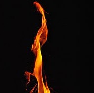 Kevin Devaney Photo 33