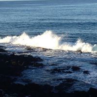 Ross Taylor Photo 18