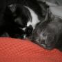 Susan Collier Photo 45
