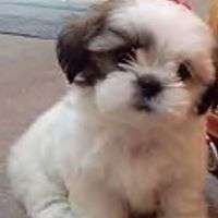 Cheryl Coker Photo 13