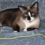 Melody Mathews Photo 14