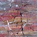Jay Pollack Photo 4