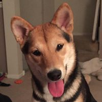 Chad Andersen Photo 6