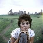 Sandra Crenshaw Photo 13