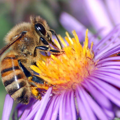 Howard Townsend Photo 10