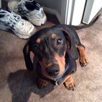 Carol Winter Photo 24