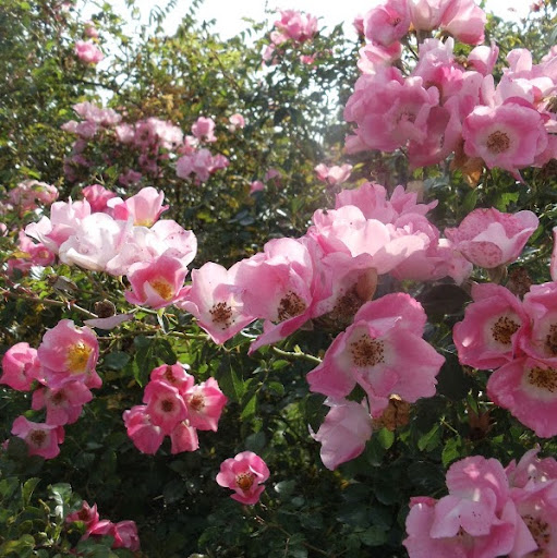 Christopher Corbin Photo 35