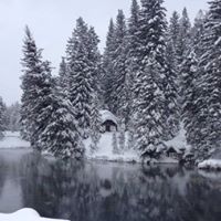 Teresa Baird Photo 28