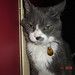 Cynthia Gros Photo 12