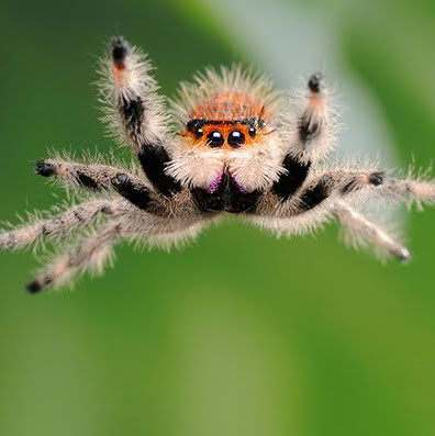 Claire Wilson Photo 49 Claire Wilson Photo 49