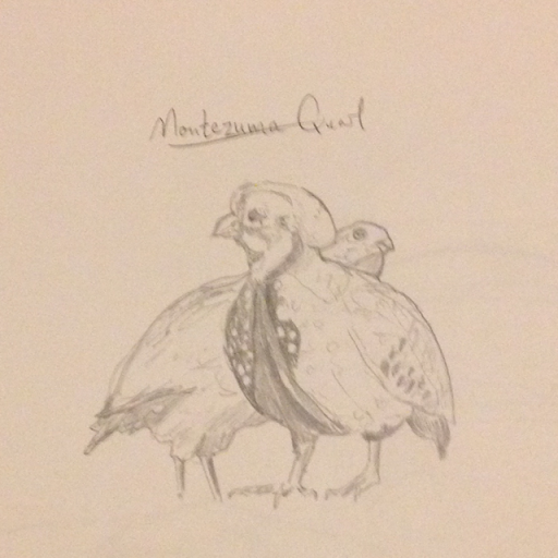 Philip Knapp Photo 4