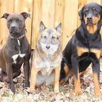Dave Seeger Photo 8