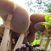 Deborah Gill Photo 28