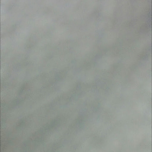 Roy Mcdowell Photo 3