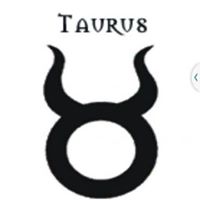 David Spicer Photo 41 David Spicer Photo 41