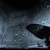 Angela Bowen Photo 16