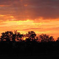 Kathy Peacock Photo 28