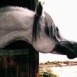 Jill Weathers Photo 6