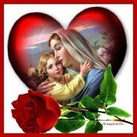 Michelle Carollo Photo 13