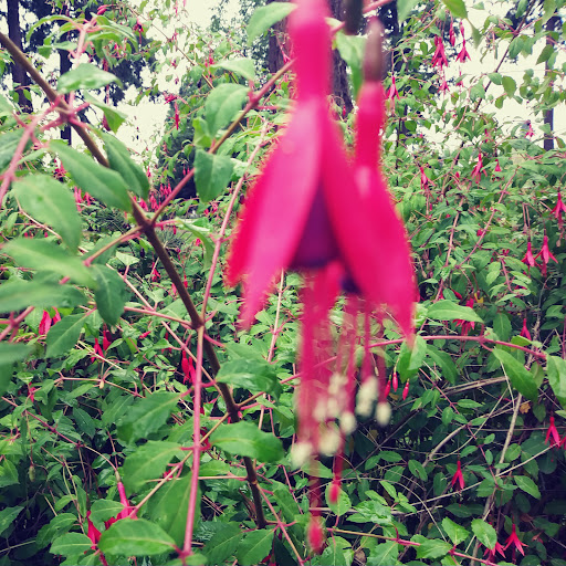 April Anderson Photo 22