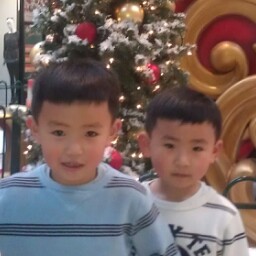 Andy Tran Photo 32