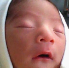 Daniel Gomez Photo 41