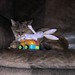 Shelly Wyatt Photo 31